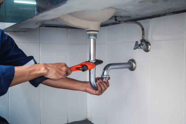 Best Local Plumber Services  in Milpitas, CA